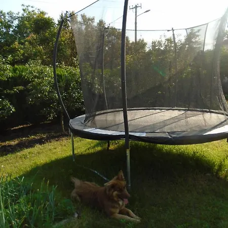 Limes Nyaraló Zatonje